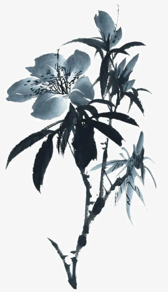 写意花草免抠