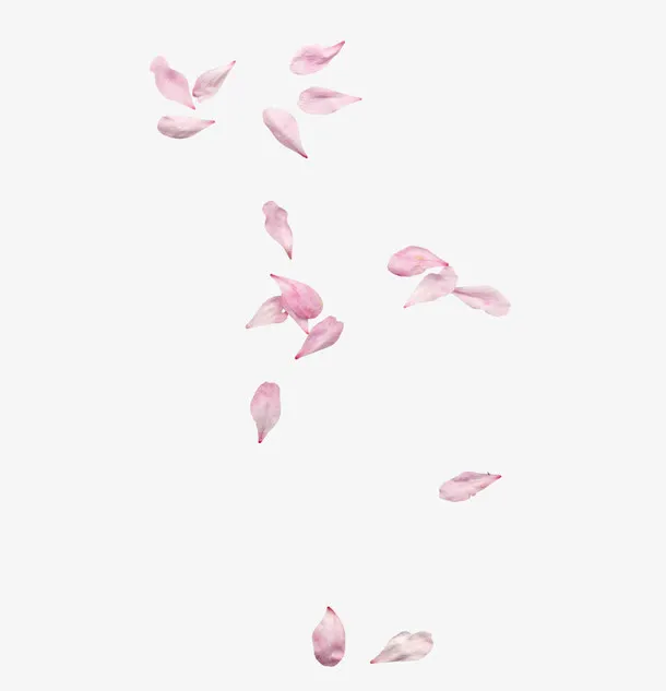 花瓣飞舞免抠