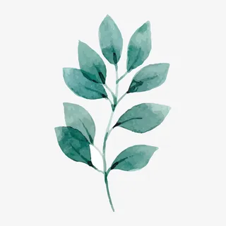 绿色手绘的植物叶子免抠