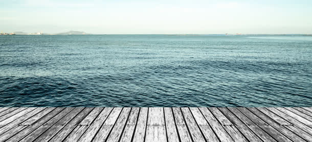 海免抠