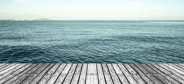 海免抠