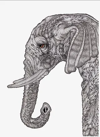 充满异域风情的大象免抠