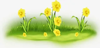 手绘绿草地上的小黄花免抠