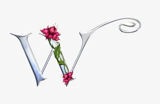 漂亮的字母素材图片免抠