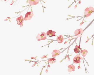 水彩风格手绘花枝免抠