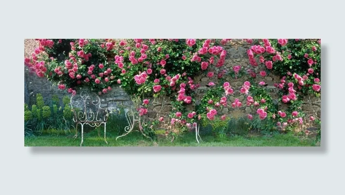 美丽花朵淘宝背景图