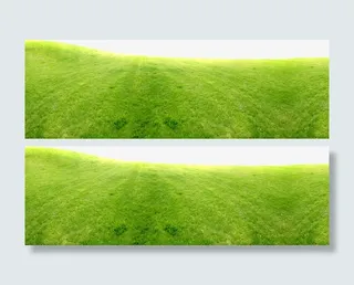 绿色草坪中秋国庆免抠