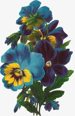 古典手绘蓝色鲜花免抠