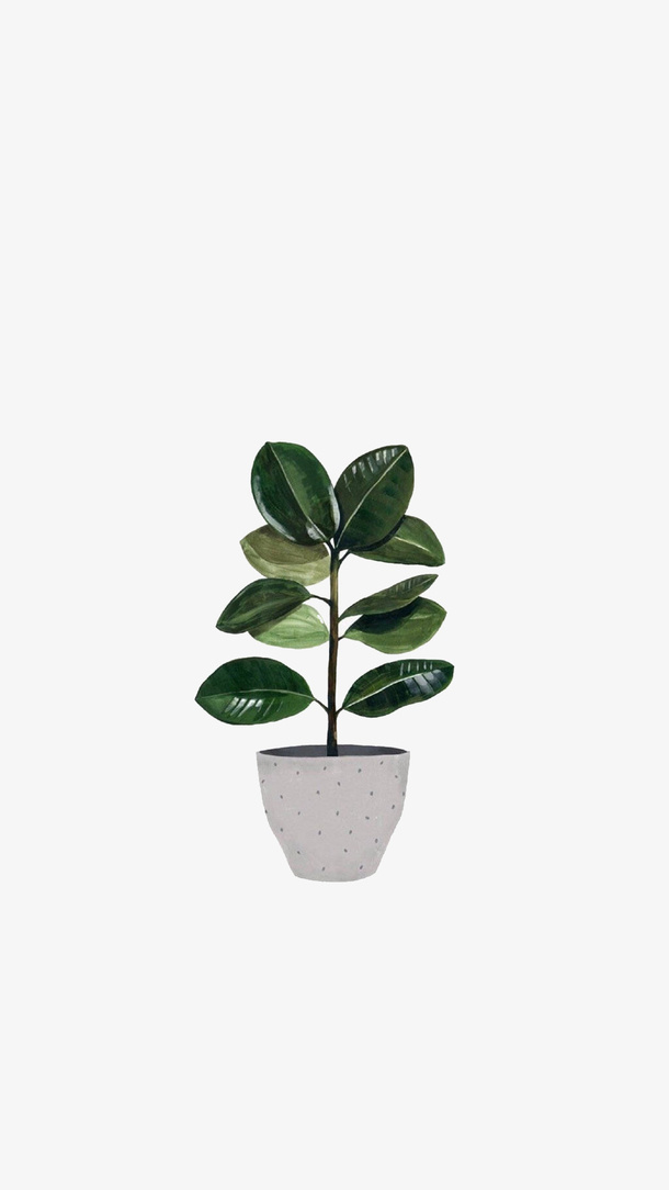 绿色植物盆栽哦免抠