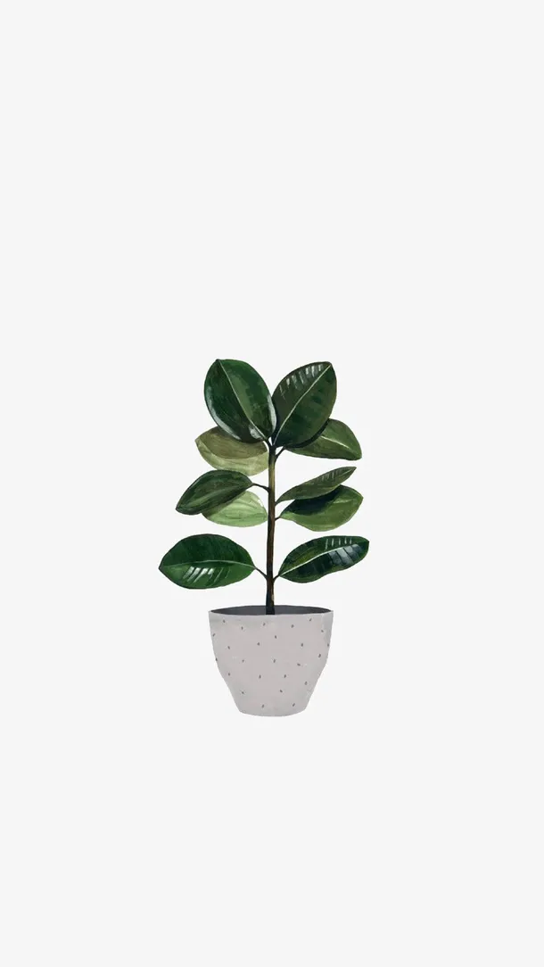 绿色植物盆栽哦免抠