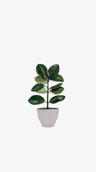 绿色植物盆栽哦免抠