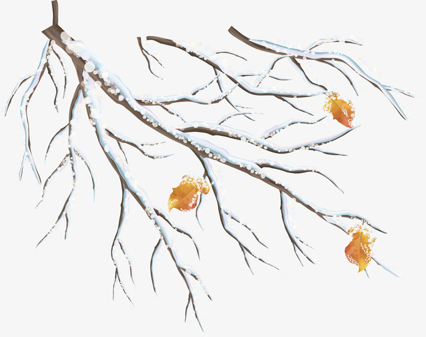 白色冬季积雪花枝免抠