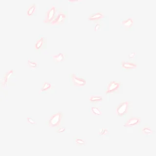 白色散状漂浮花瓣免抠