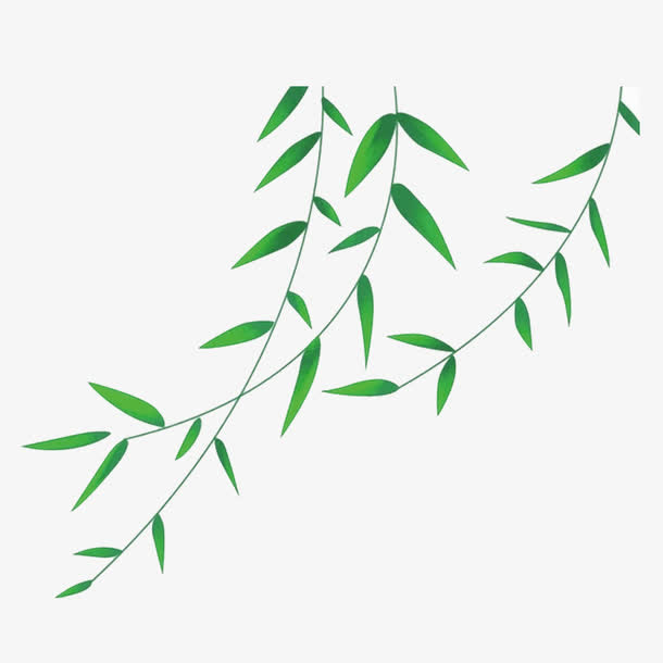 和风吹拂的柳枝插画免抠手绘/卡通卡通元素