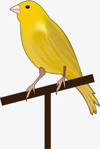 天空中的鸟免抠