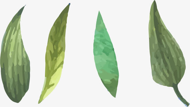 手绘树叶叶子免抠