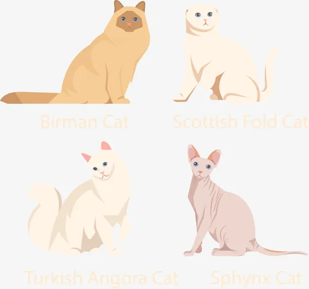 矢量手绘卡通猫咪免抠