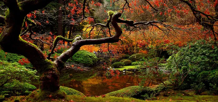 淘宝背景图高清
