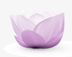 紫色盛开的莲花免抠