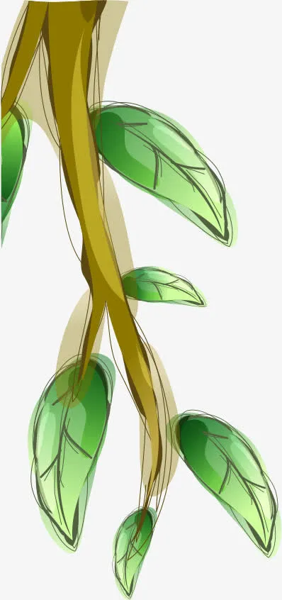 树枝免抠