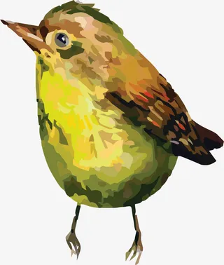 卡通工笔花鸟免抠png插画装饰免抠