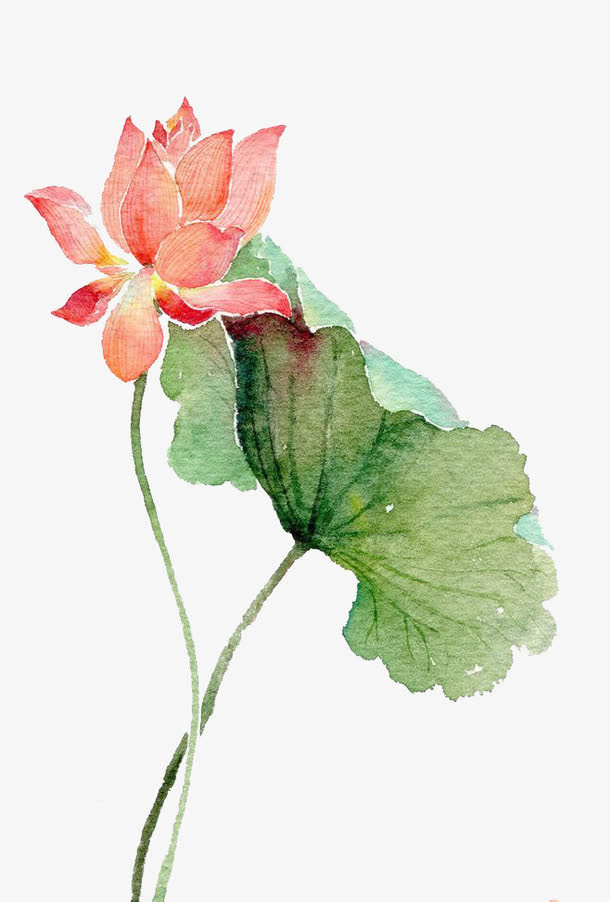 水彩鲜花免抠