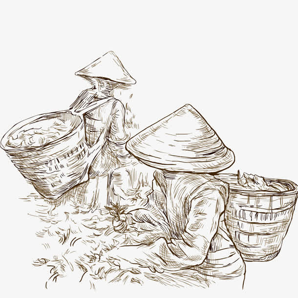 采茶人矢量素材免抠