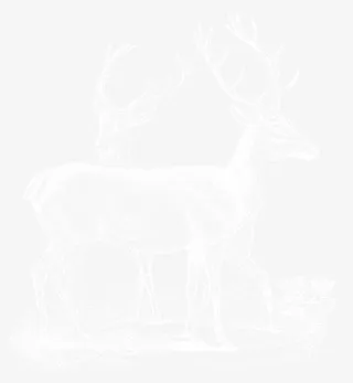 冰雕麋鹿免抠