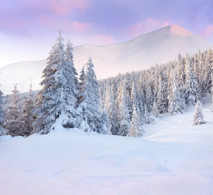 雪景高清