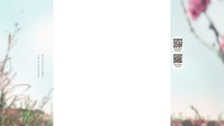 夏天知性固定背景