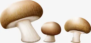 三个蘑菇免抠
