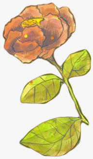 手绘红色花朵玫瑰绿叶免抠