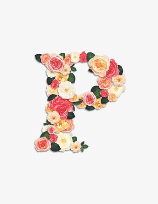 鲜花拼字母P免抠