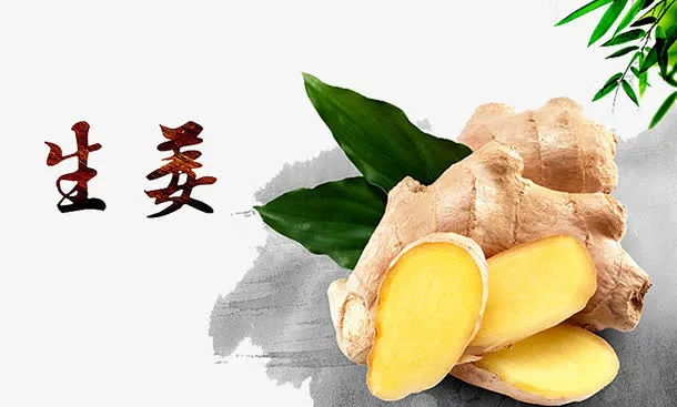 生姜素材免抠