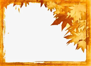 枫叶边框素材图片免抠