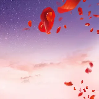 唯美花瓣背景高清