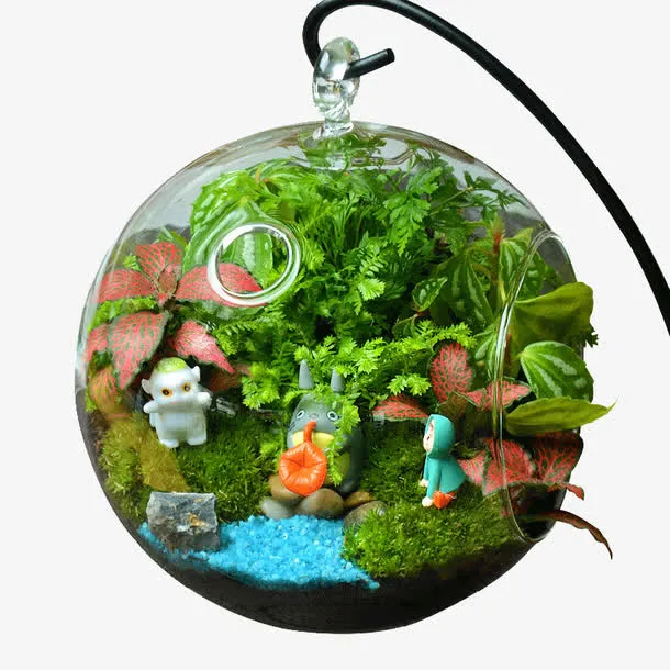 苔藓微景观生态瓶创意盆栽免抠