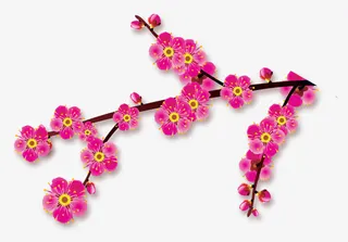 梅花，粉色，古风免抠