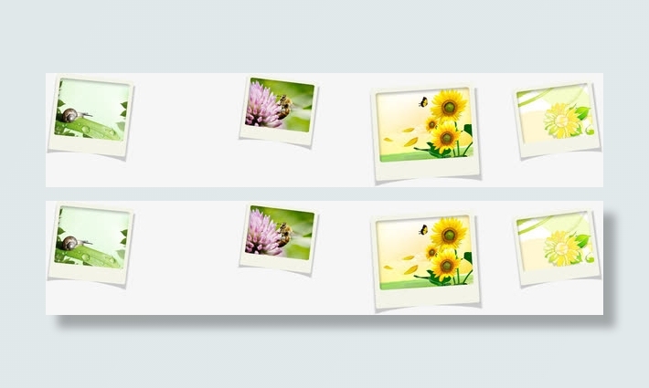 春天花朵向日葵相片免抠