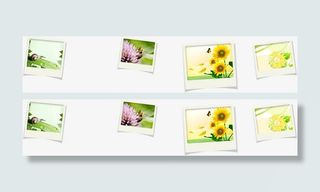 春天花朵向日葵相片免抠