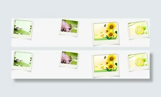 春天花朵向日葵相片免抠