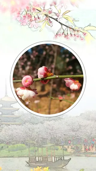 惊蛰二十四节气背景高清