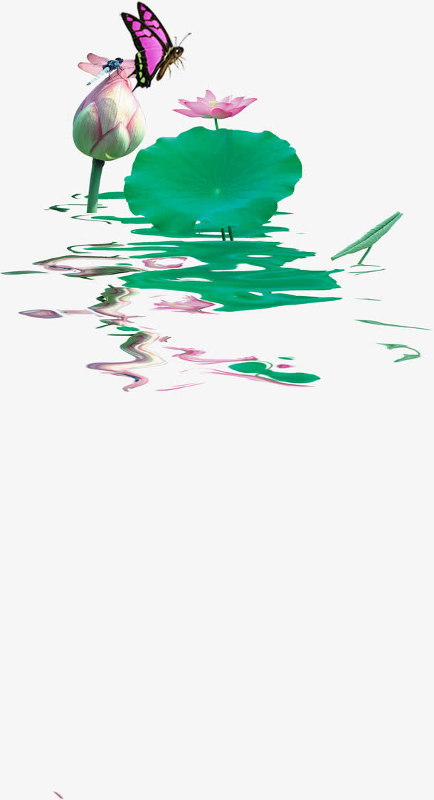 池塘荷花免抠