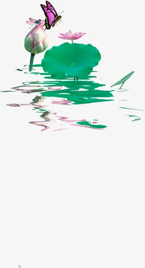 池塘荷花免抠