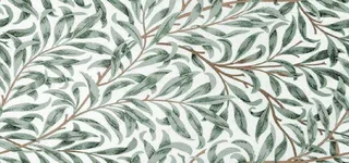 淡雅植物背景高清