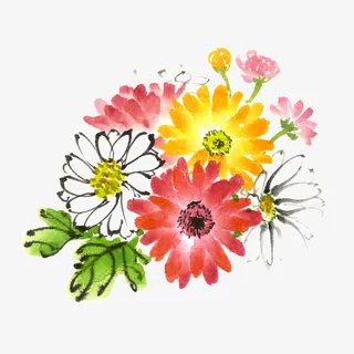 彩绘小雏菊花插画免抠