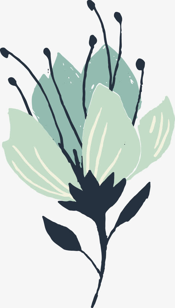 漂浮花朵免抠