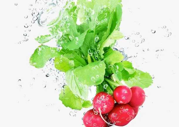 水中红萝卜免抠