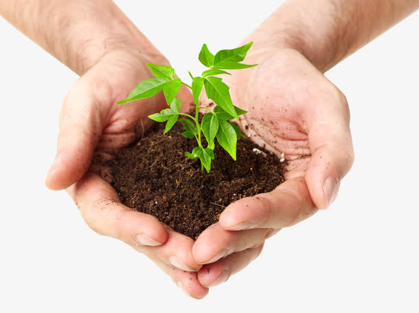 手捧植物免抠