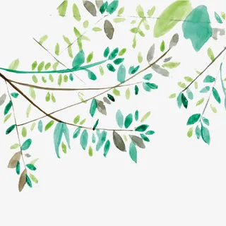 手绘小清新树枝绿叶素材免抠